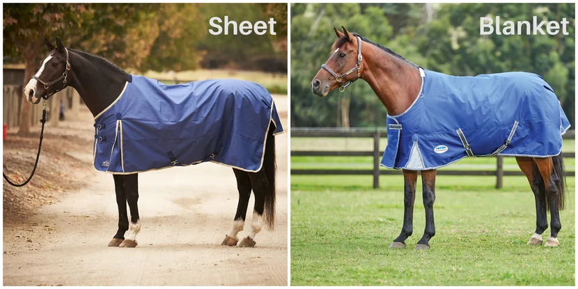 Choosing the Right Size of Blanket for Your Horse: How to Go About It